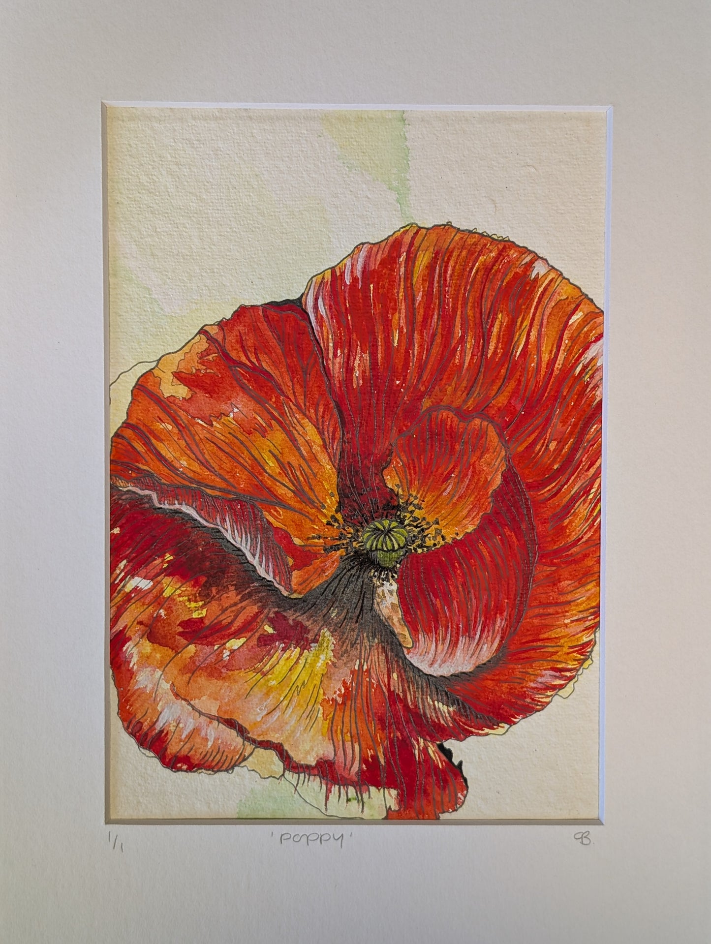 Watercolour Poppy