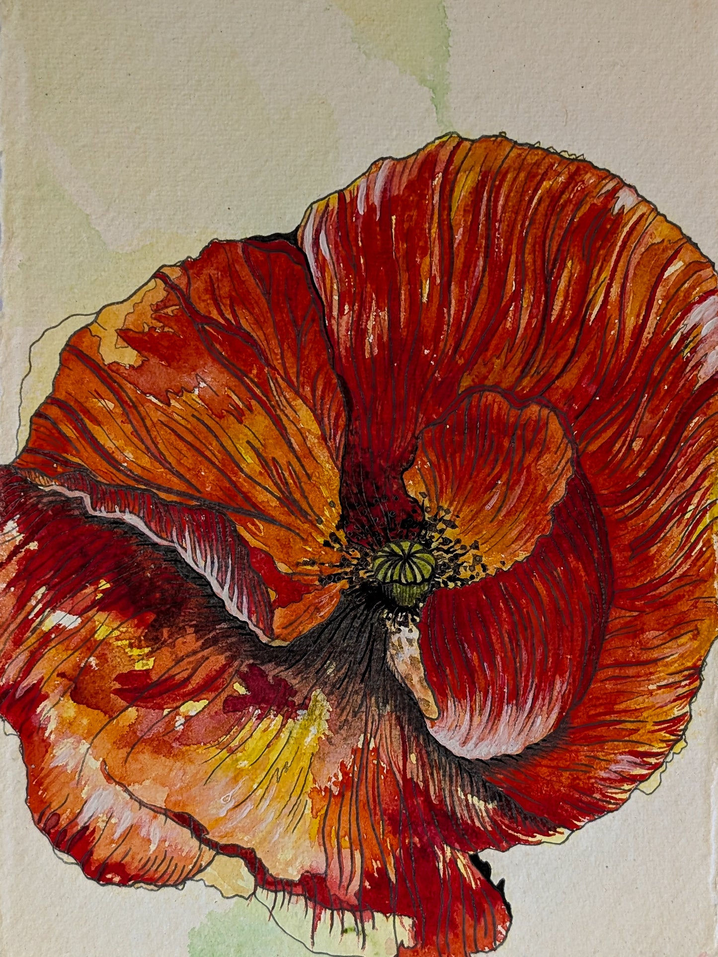 Watercolour poppy - A5