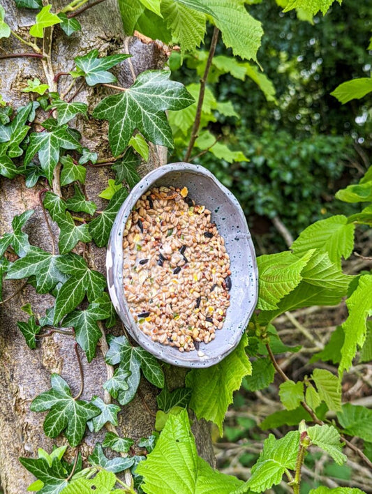 Bird 'seed cake' recipe