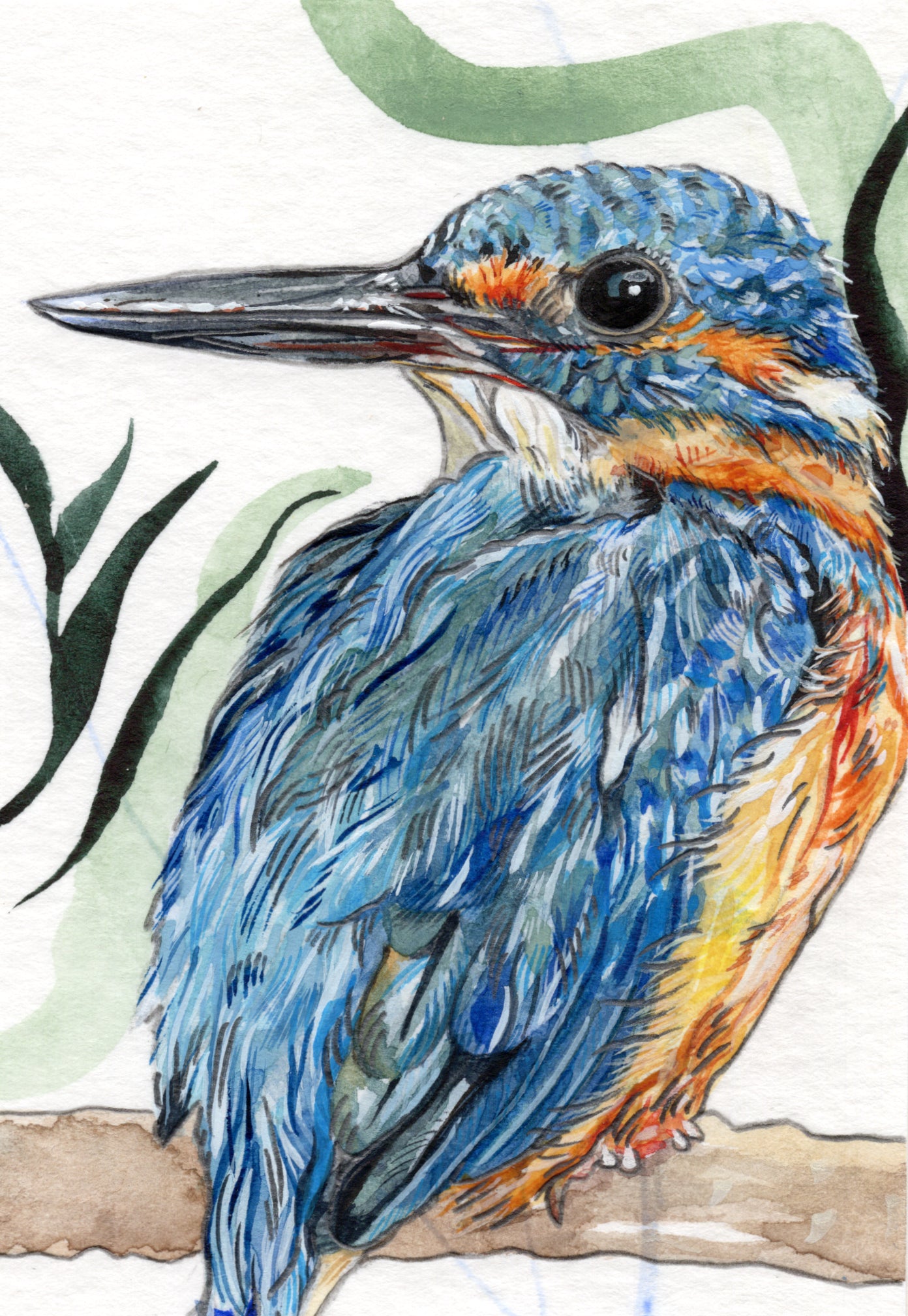 Miniature Bird Paintings - A7 Prints