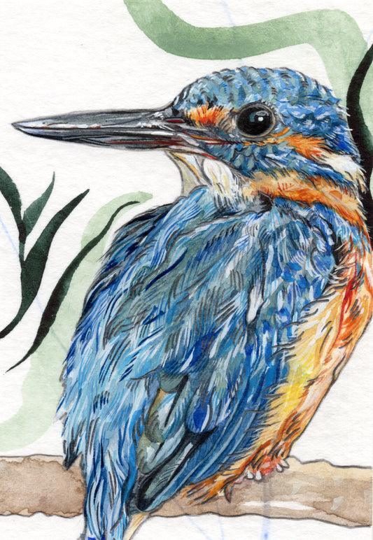 Miniature Bird Paintings - A7 Prints