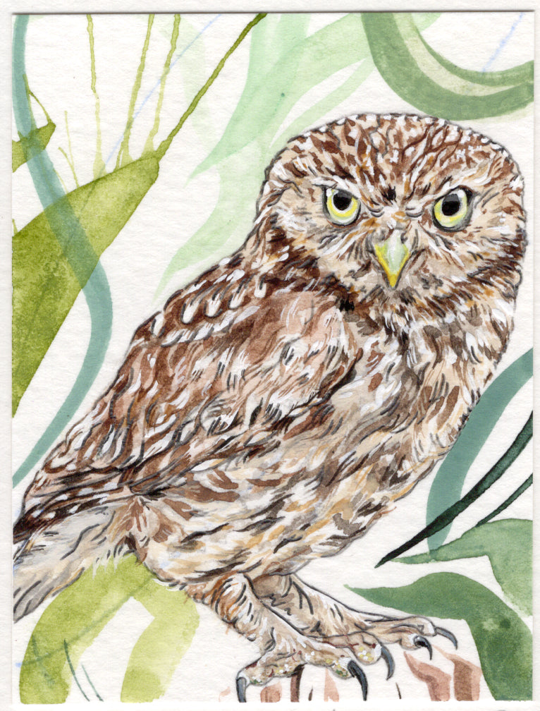 Miniature Bird Paintings - A7 Prints