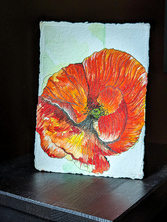 Watercolour poppy - A5