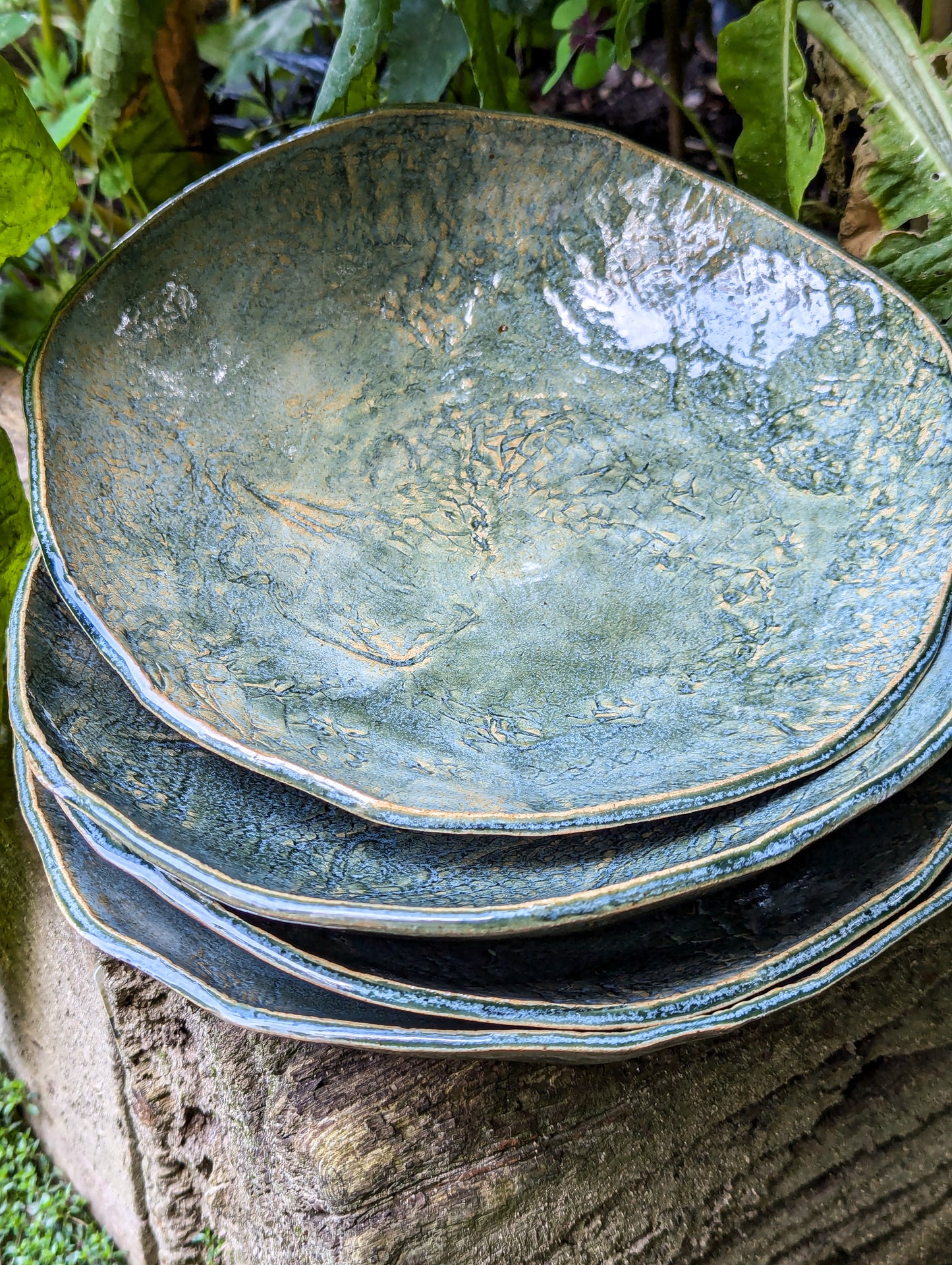 Snakeskin dinner bowls