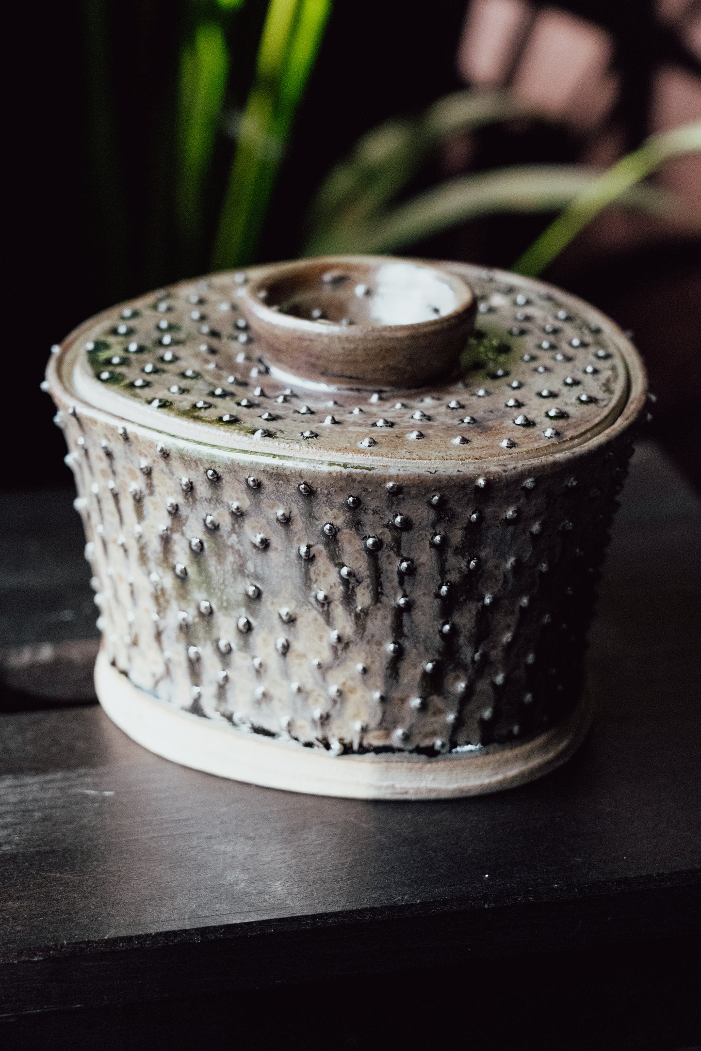 OOAK Urchin Jar