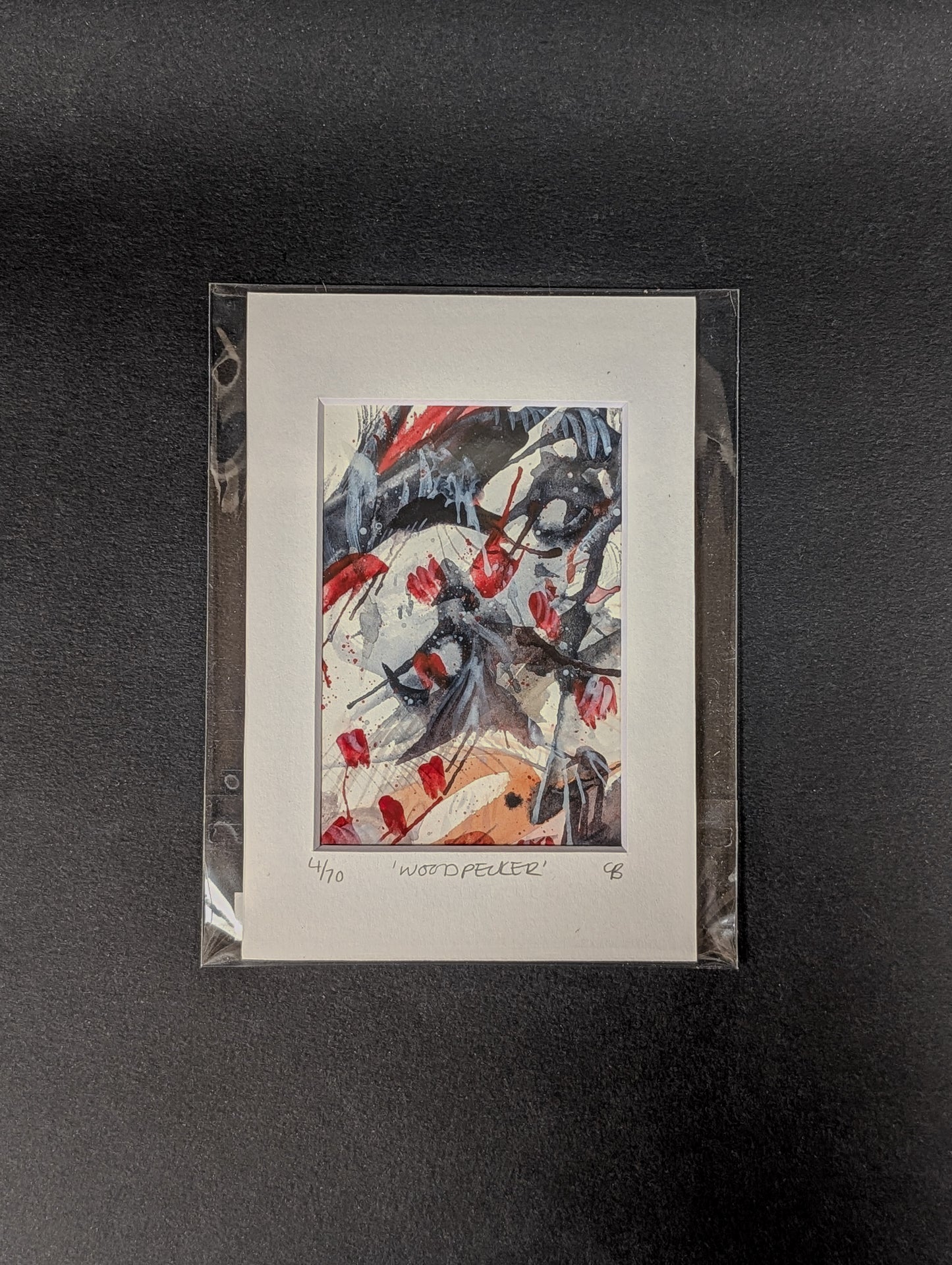 10 days of wild bird paintings