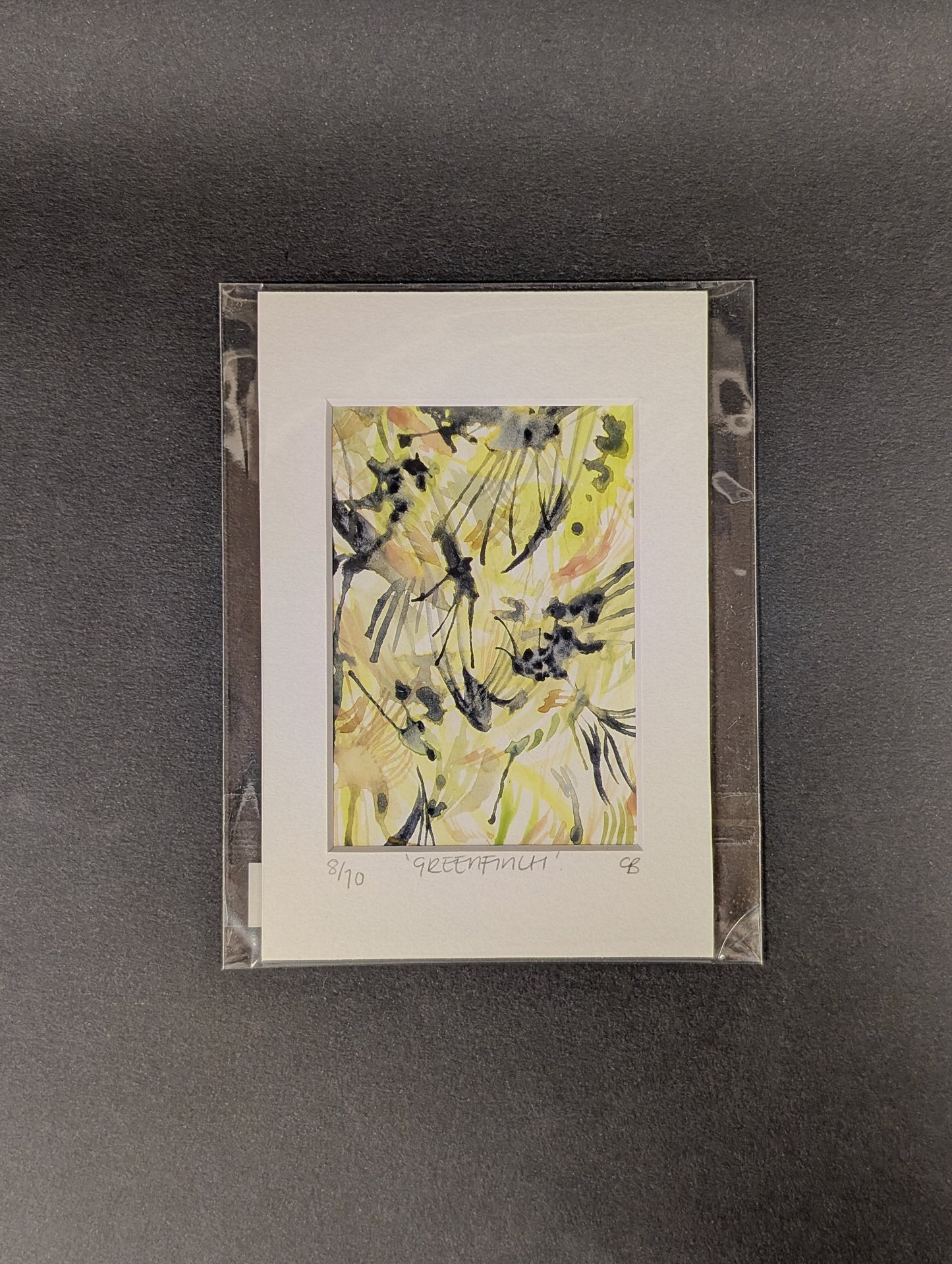 10 days of wild bird paintings