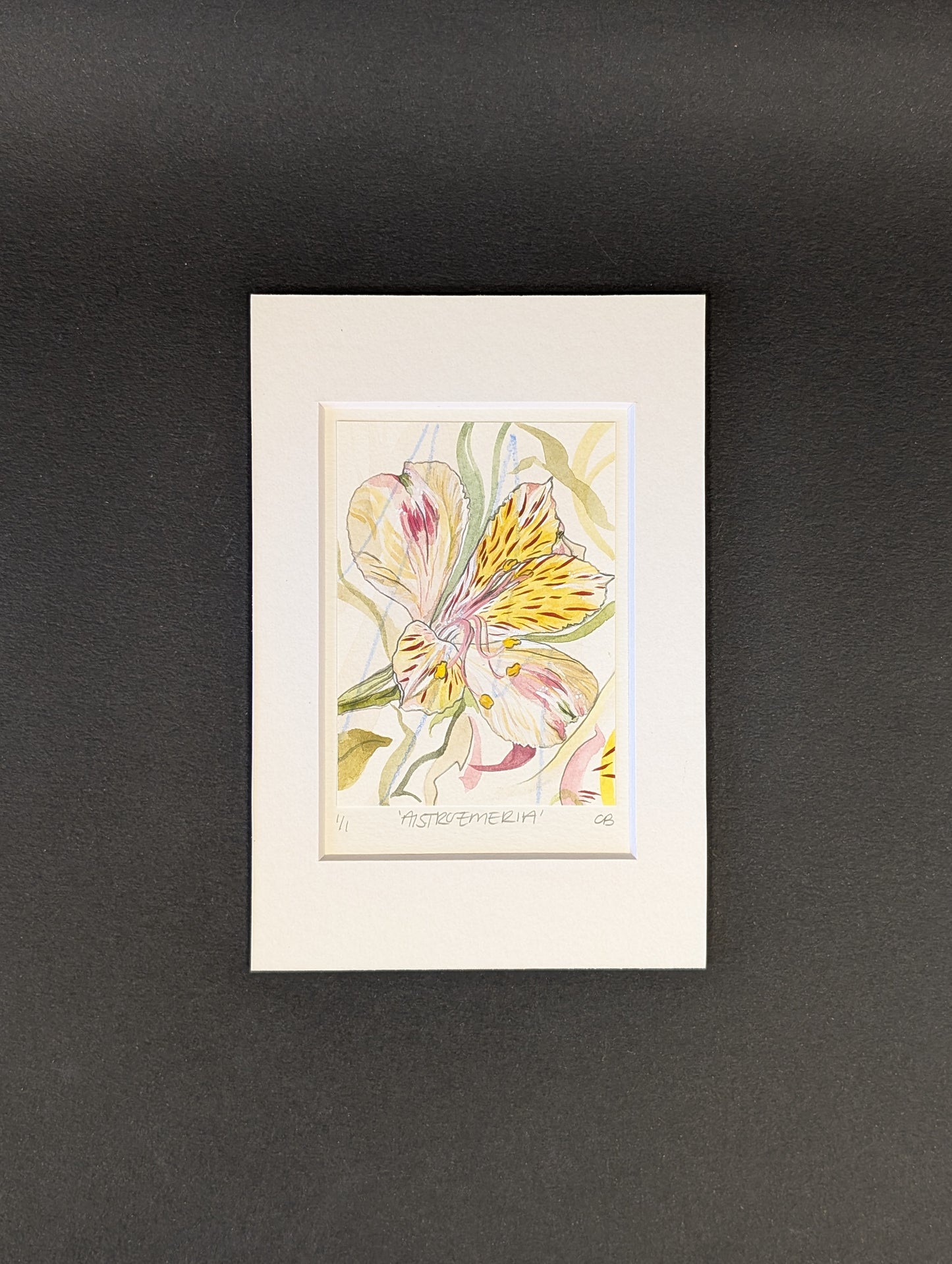 Original Miniature Watercolour Paintings