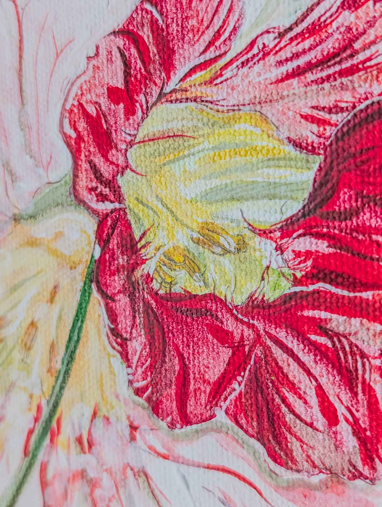 Original Nasturtium Painting - 6x4" Canvas