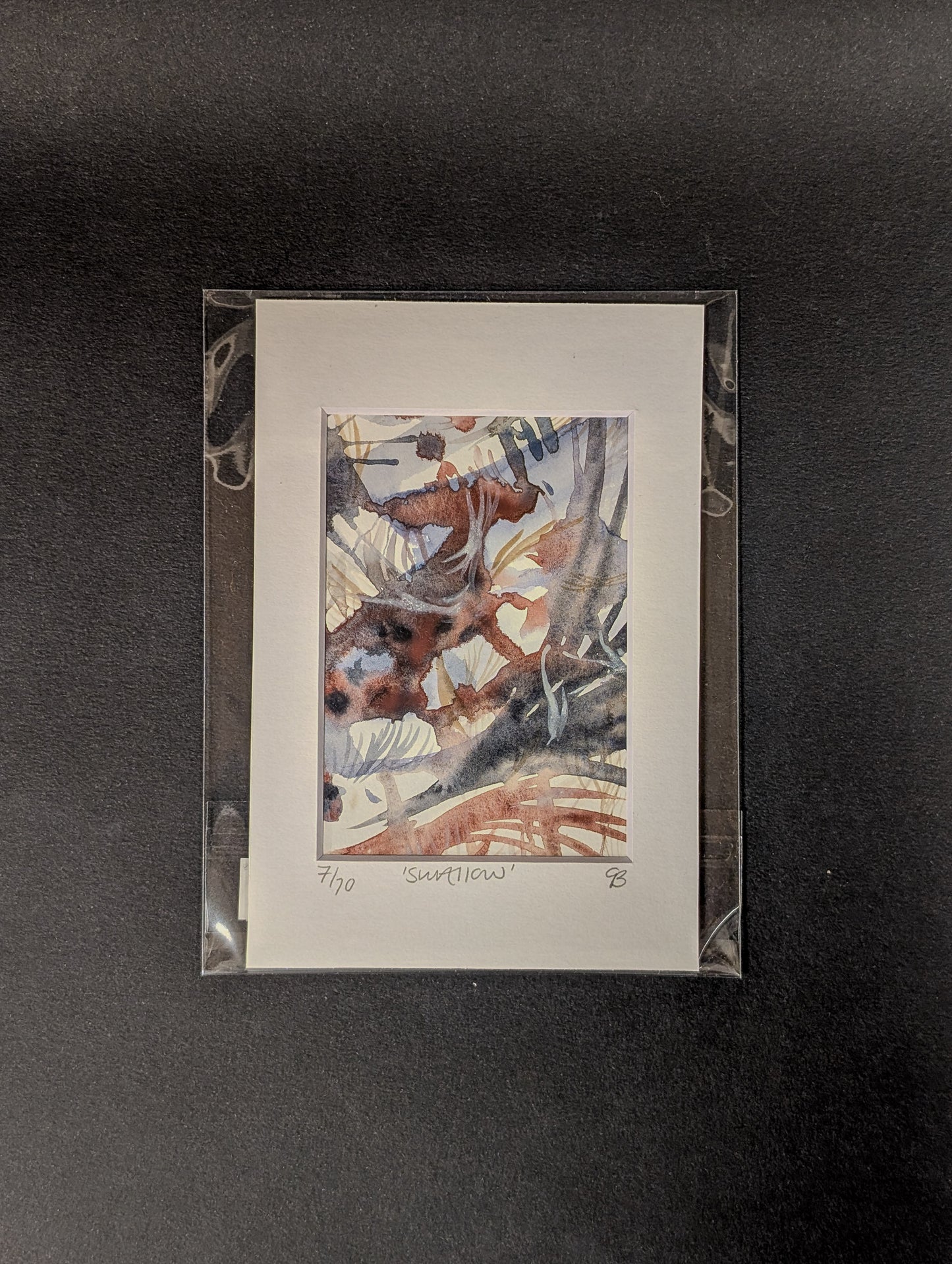 10 days of wild bird paintings