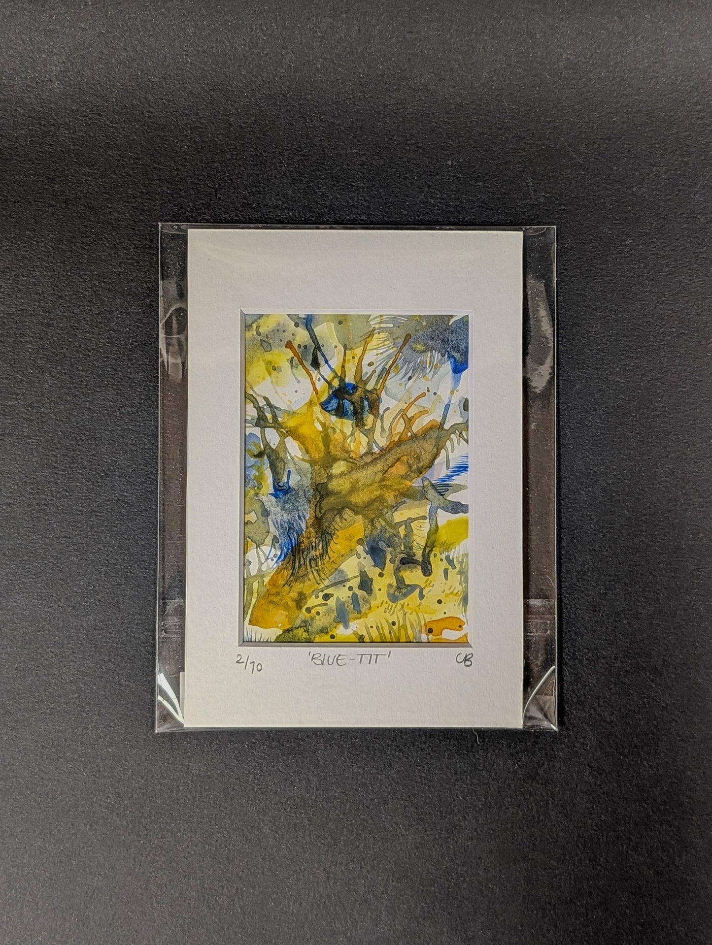 10 days of wild bird paintings