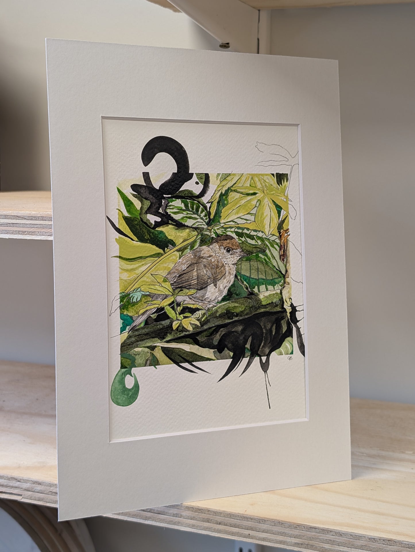 Original - Juvenile Blackcap Mixed Media Painting