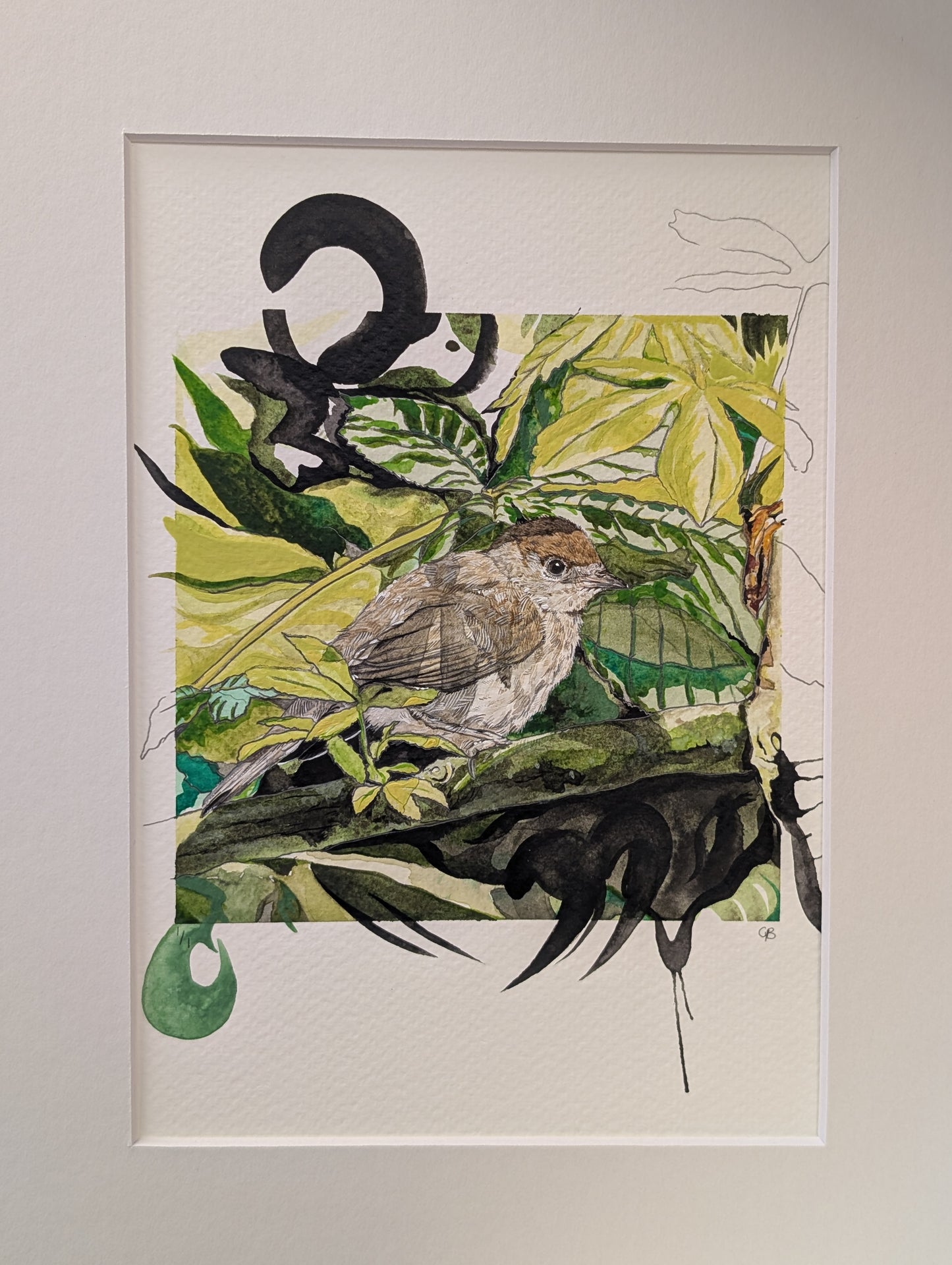Original - Juvenile Blackcap Mixed Media Painting