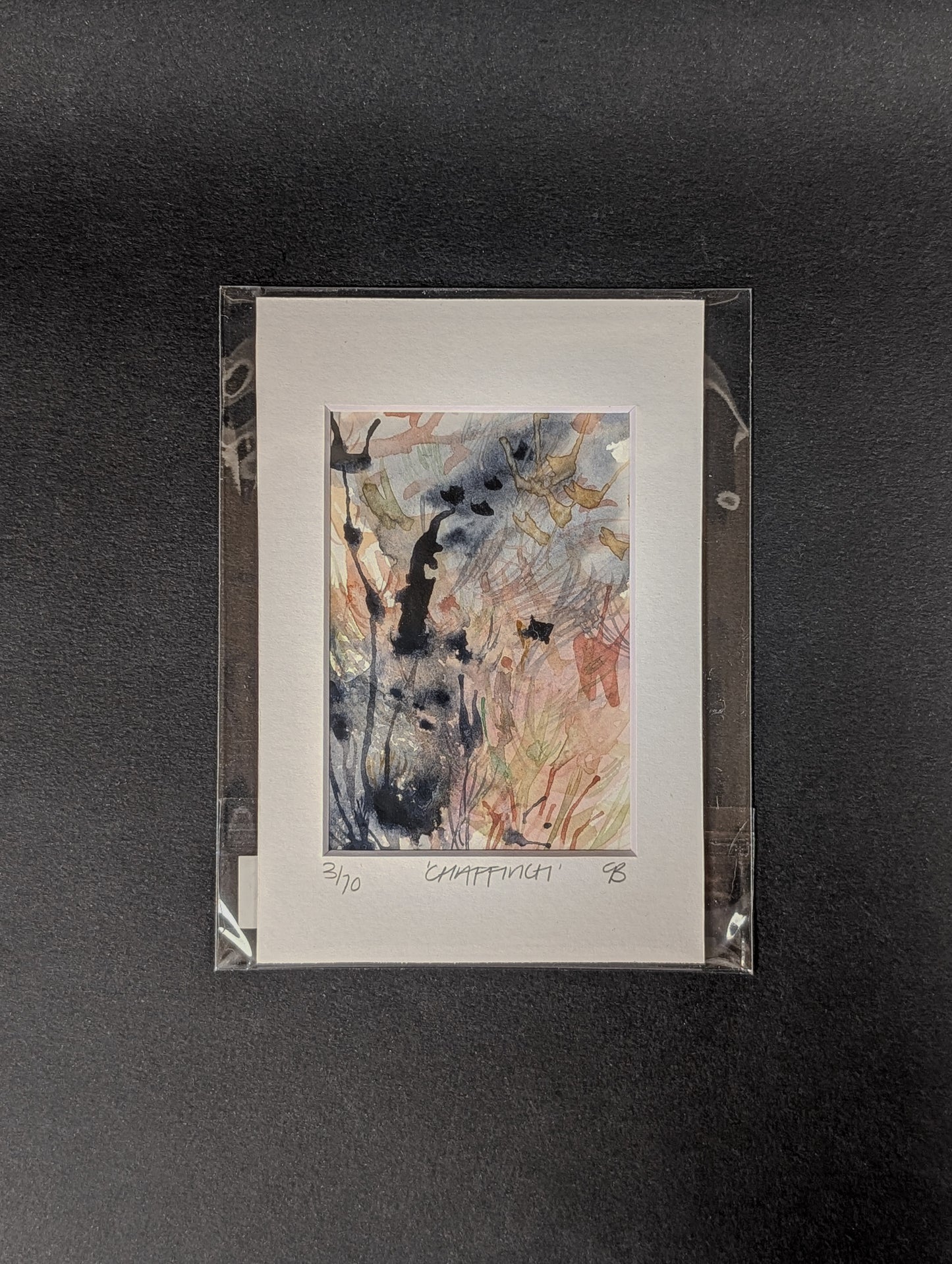 10 days of wild bird paintings