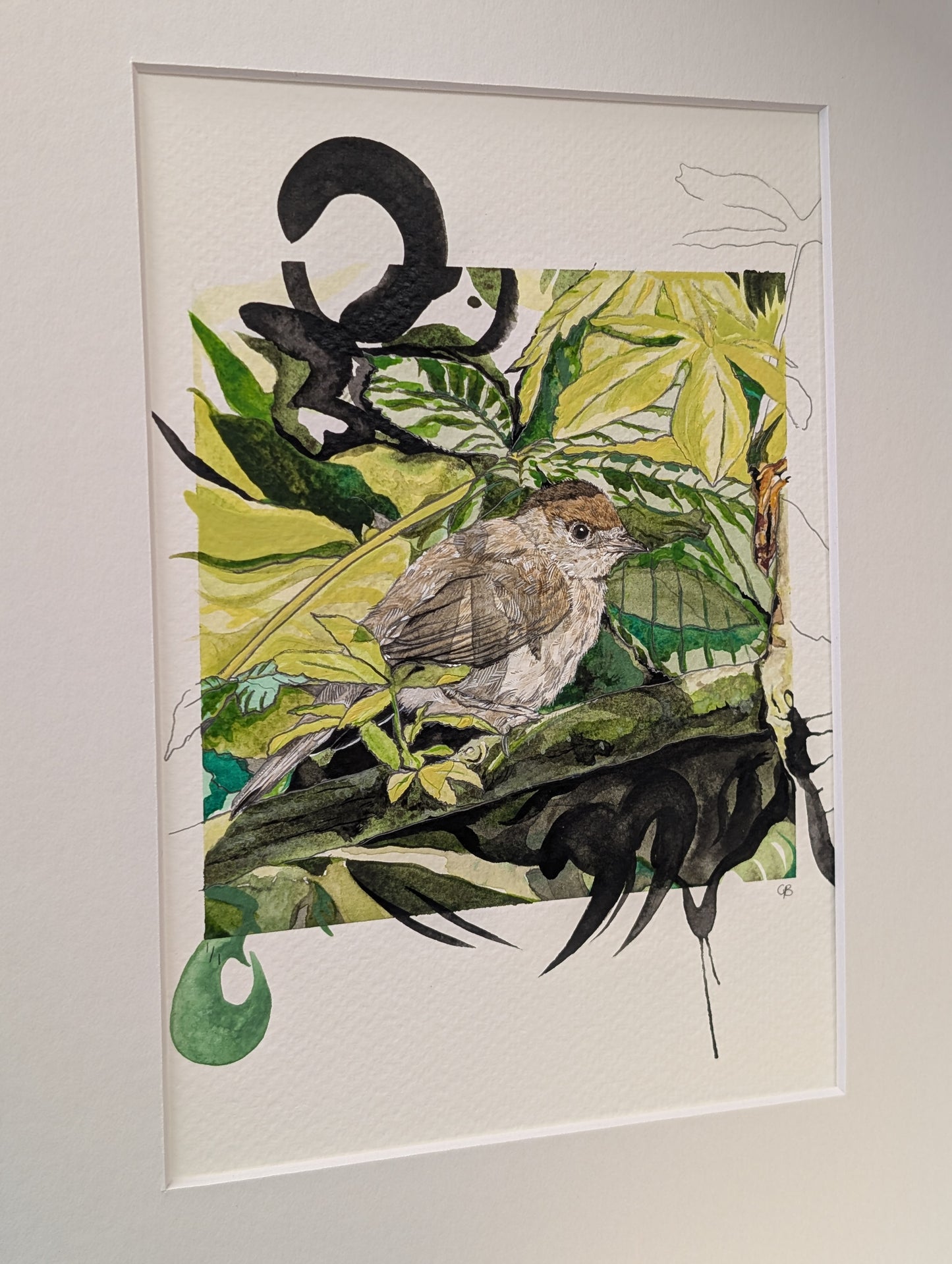 Original - Juvenile Blackcap Mixed Media Painting